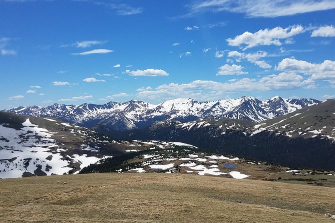 Rocky Mountain National Park in Summer Tour from Denver - Forest Canyon and Many Parks Curve