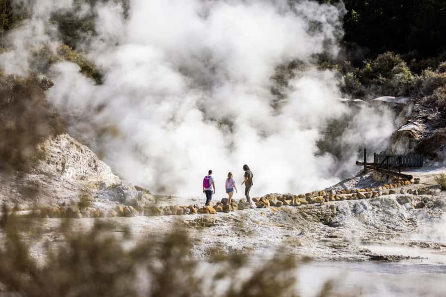 Rotorua: Hell's Gate Geothermal Walk - A guide adds meaning, timing permitting