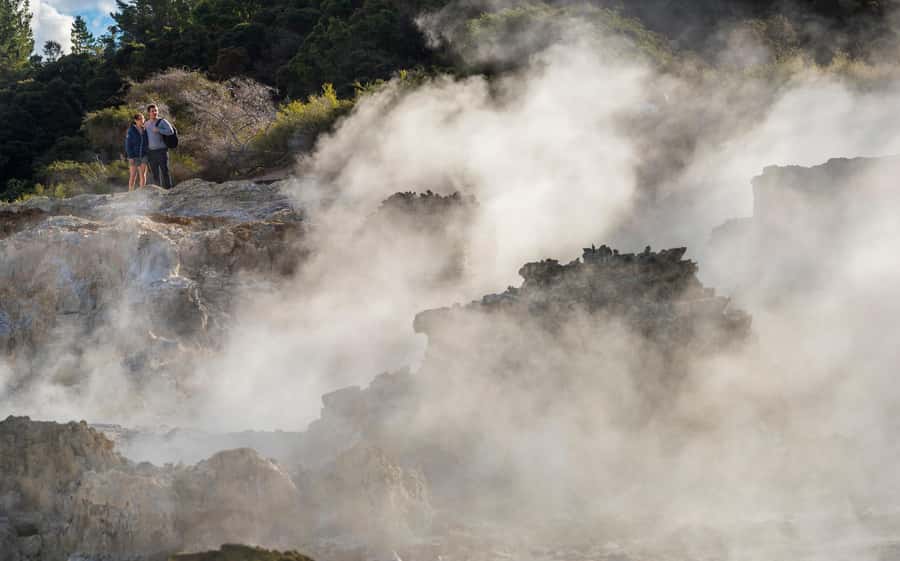 Rotorua: Hell's Gate Outdoor Mud Spa & Guided Walk - What to pack and what to expect afterward