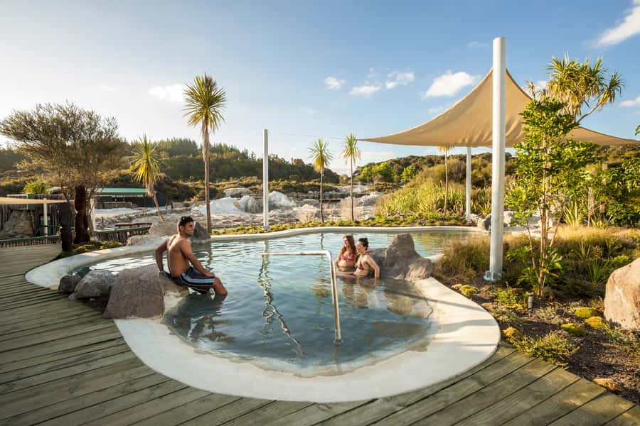 Rotorua: Hell's Gate Outdoor Mud Spa & Guided Walk - The Māori carving activity