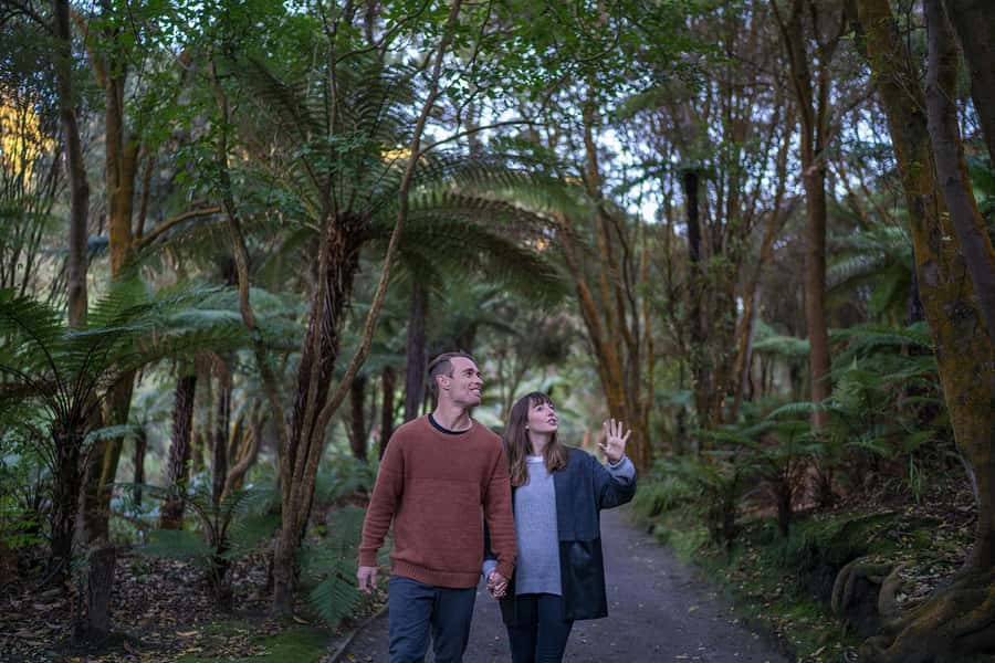 Rotorua: Hell's Gate Outdoor Mud Spa & Guided Walk - Starting with the geothermal walk