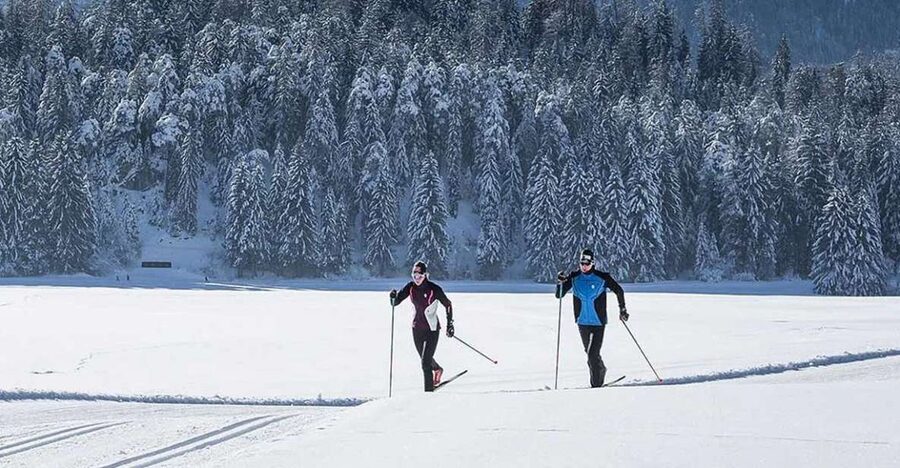 Rovaniemi: Cross Country Wilderness Ski Adventure - Key points to know before you book