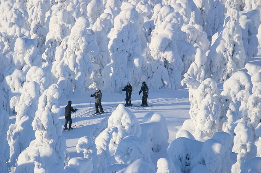 Rovaniemi: Cross Country Wilderness Ski Adventure - From central Rovaniemi to Ounasvaara’s snowy woods