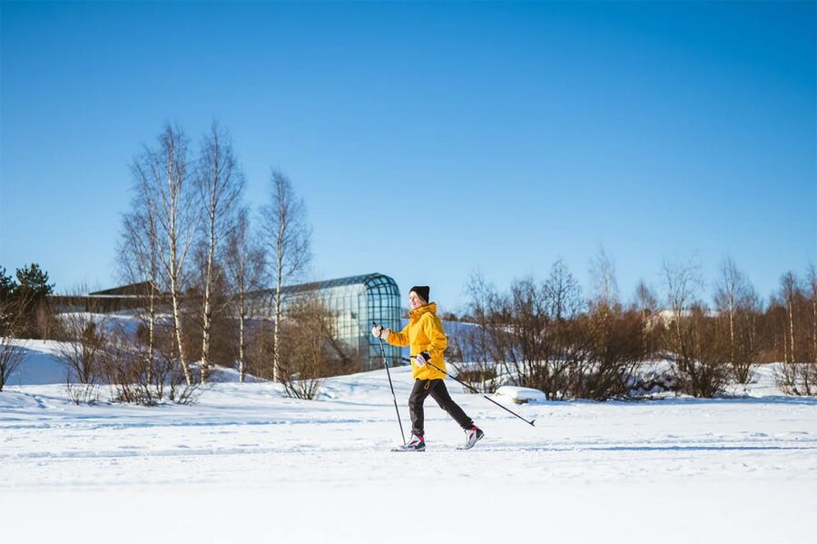 Rovaniemi: Cross Country Wilderness Ski Adventure - Quiet tracks through the Ounasvaara forest