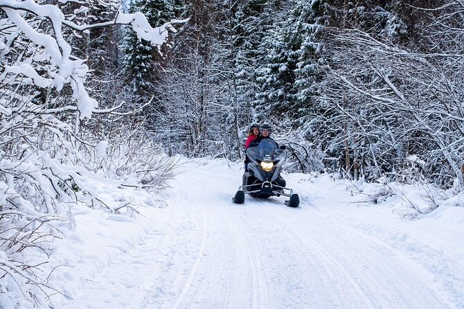 Rovaniemi: Drive New 2025 Snowmobiles on Arctic Safari & BBQ - Children, passengers, and family fit