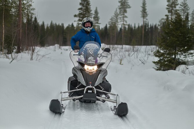 Rovaniemi: Drive New 2025 Snowmobiles on Arctic Safari & BBQ - Learning to handle a 2025 snowmobile