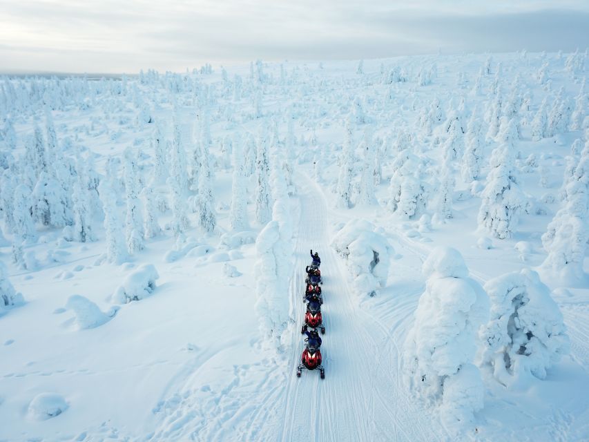 Rovaniemi: Full-Day Snowmobile Safari into the Wilderness - Why this six-hour safari feels different