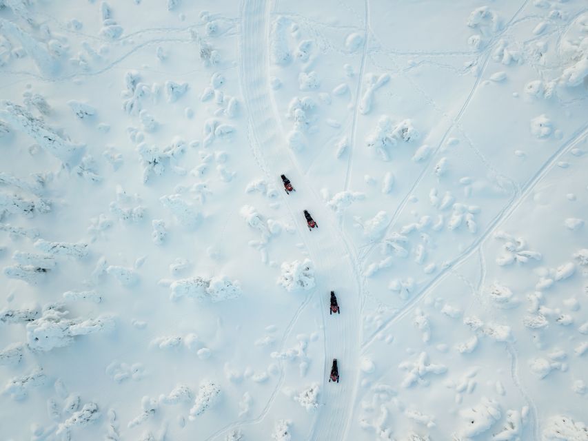 Rovaniemi: Full-Day Snowmobile Safari into the Wilderness - A campfire lunch in a kota