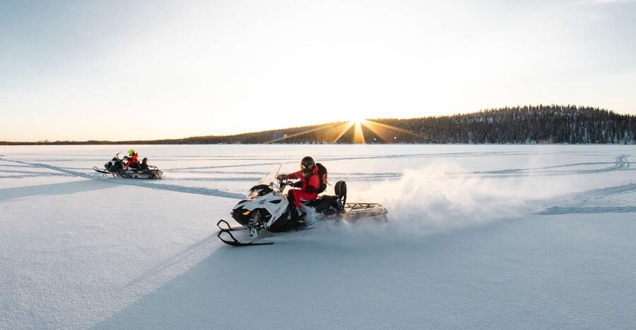 Rovaniemi: Full-Day Snowmobile Safari into the Wilderness - Group size, comfort, and the cost