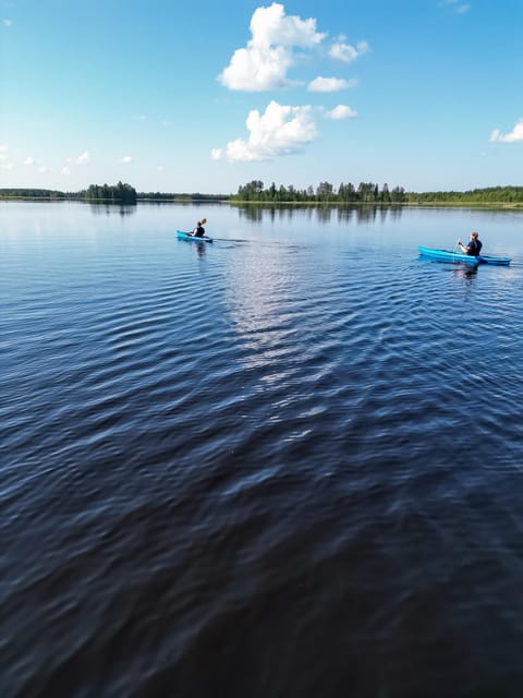 Rovaniemi: Guided Wilderness Kayaking Adventure - Who will enjoy the Rovaniemi kayak adventure