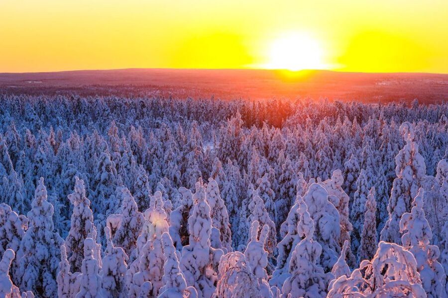 Rovaniemi: Guided Wilderness Snowmobile Ride - Leaving Rovaniemi for the snow