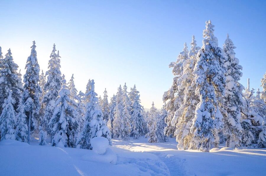 Rovaniemi: Guided Wilderness Snowmobile Ride - Getting dressed for an Arctic engine ride