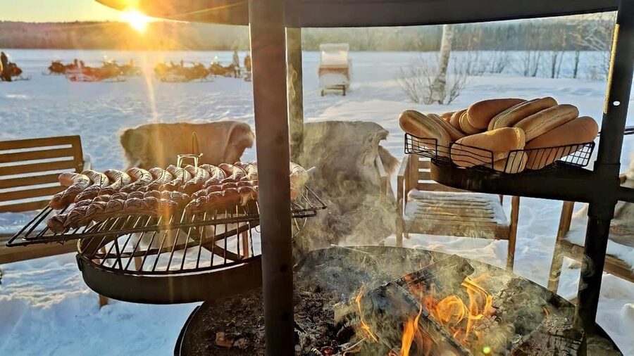 Rovaniemi: Guided Wilderness Snowmobile Safari & Barbeque - Is $124 good value?