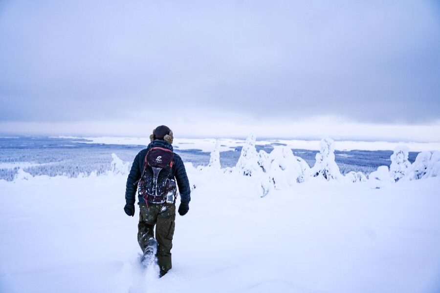Rovaniemi: Riisitunturi National Park Day Trip with Lunch - Key points at a glance