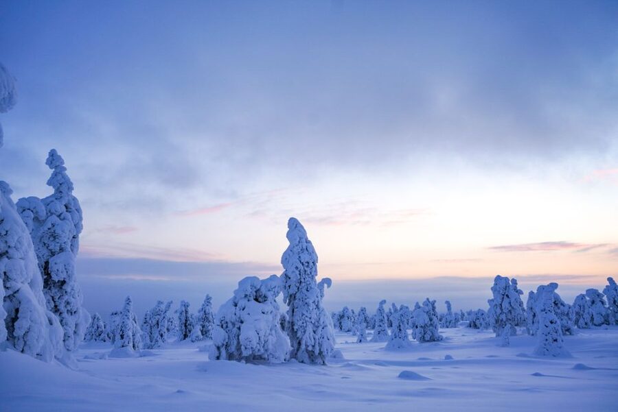 Rovaniemi: Riisitunturi National Park Day Trip with Lunch - A four-kilometre walk through snow-covered forest