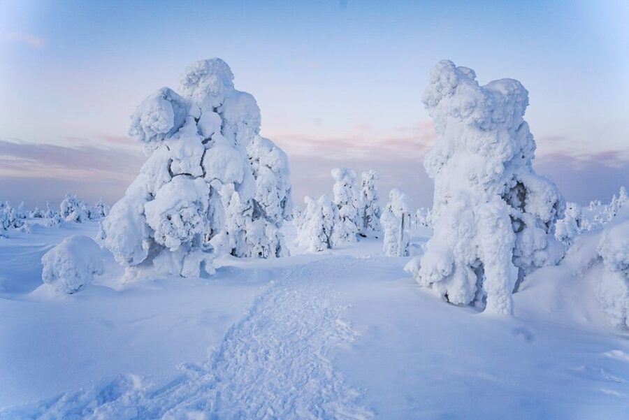 Rovaniemi: Riisitunturi National Park Day Trip with Lunch - Snowshoes, clothing, and the cold