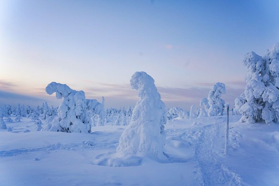 Rovaniemi: Riisitunturi National Park Day Trip with Lunch - The campfire hut and Finnish outdoor skills