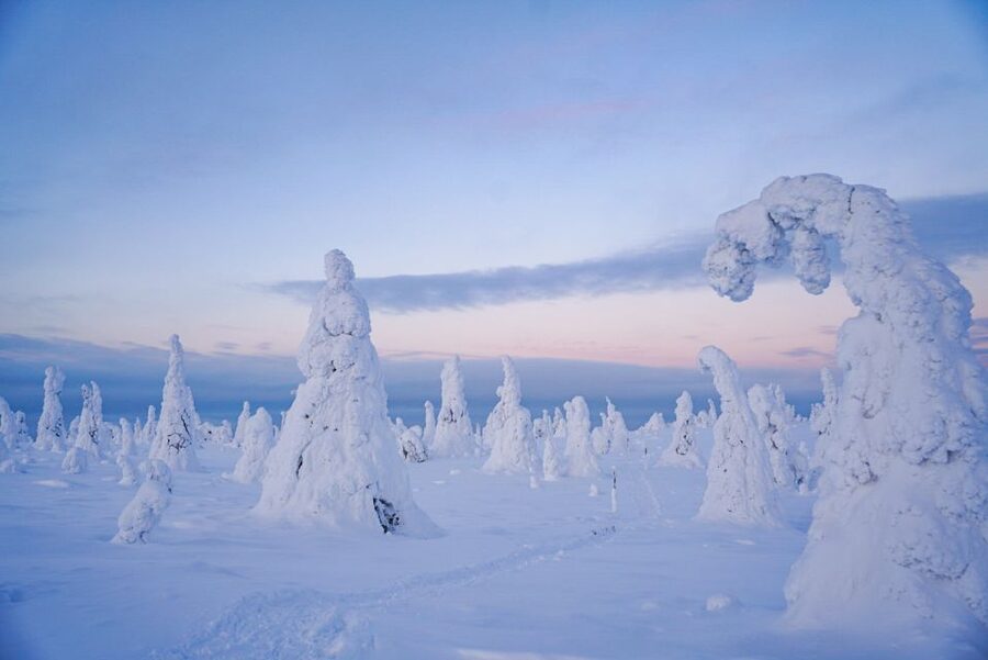 Rovaniemi: Riisitunturi National Park Day Trip with Lunch - The guides make the difference