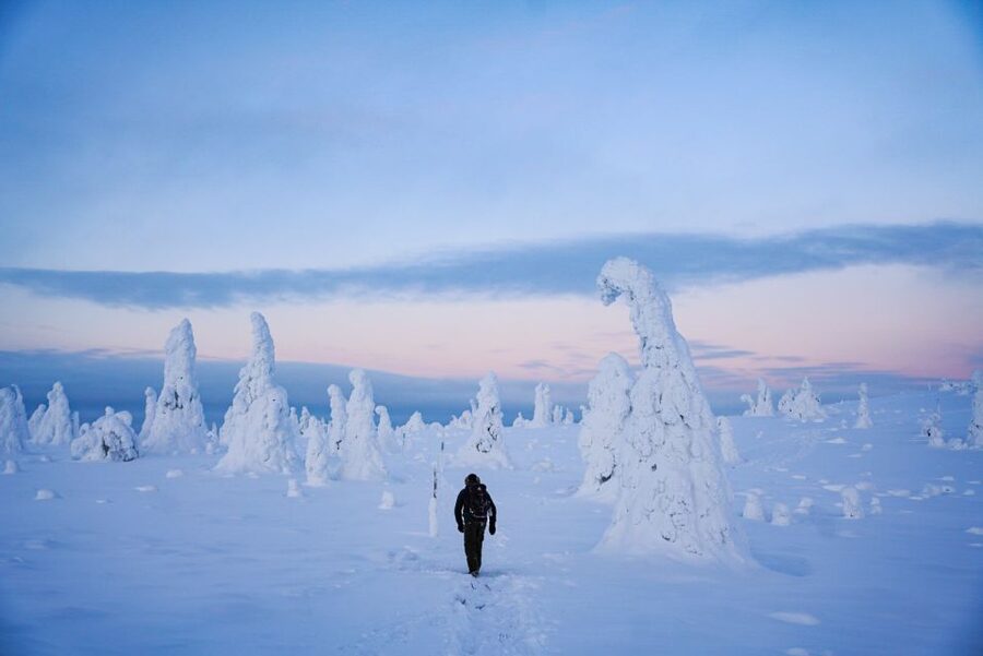 Rovaniemi: Riisitunturi National Park Day Trip with Lunch - Should you book Riisitunturi National Park?