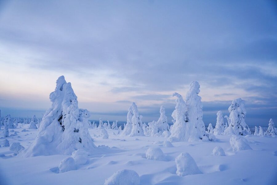 Rovaniemi: Riisitunturi National Park Day Trip with Lunch - The morning pickup and two-hour journey