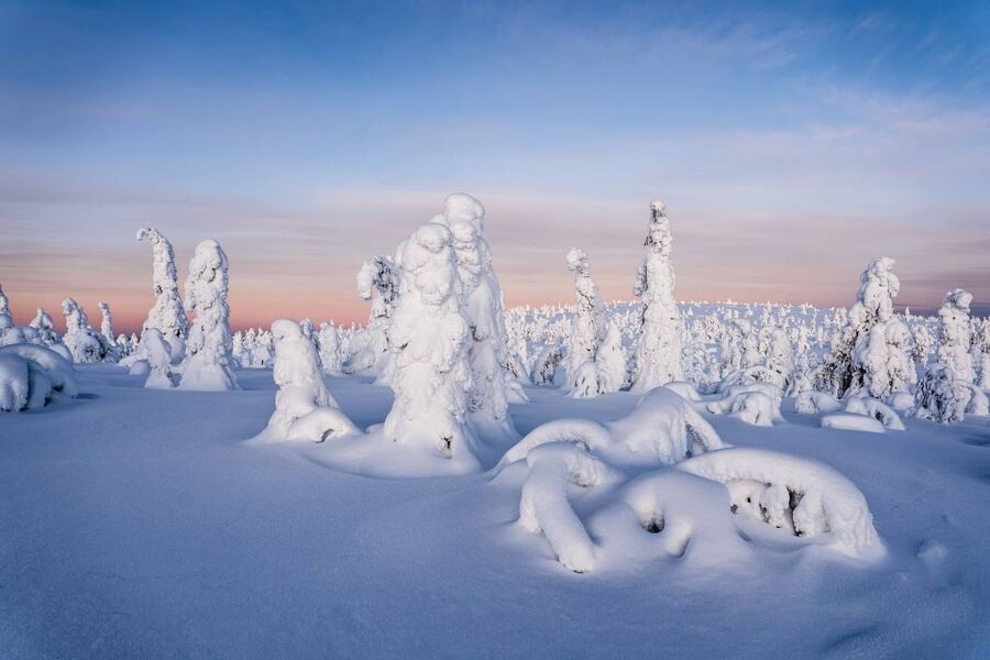 Rovaniemi: Riisitunturi National Park with Pro Photos & BBQ - The 4-kilometer hike through snowy trees