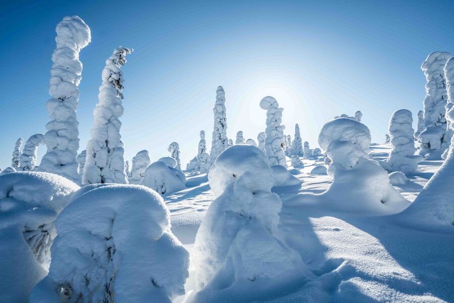 Rovaniemi: Riisitunturi National Park with Pro Photos & BBQ - Climbing toward the open views
