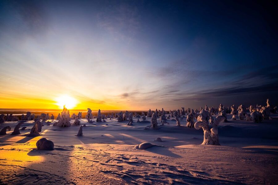 Rovaniemi: Riisitunturi National Park with Pro Photos & BBQ - A photography tour with a useful human touch