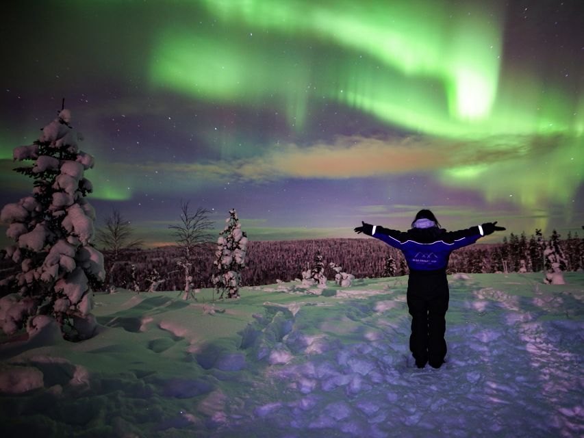 Rovaniemi: Small-Group Northern Lights Wilderness Tour - Chasing clear skies beyond Rovaniemi