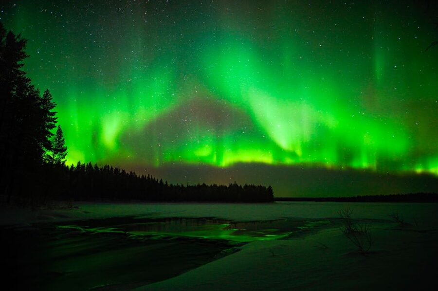 Rovaniemi: Small-Group Northern Lights Wilderness Tour - Professional photos are a real part of the value