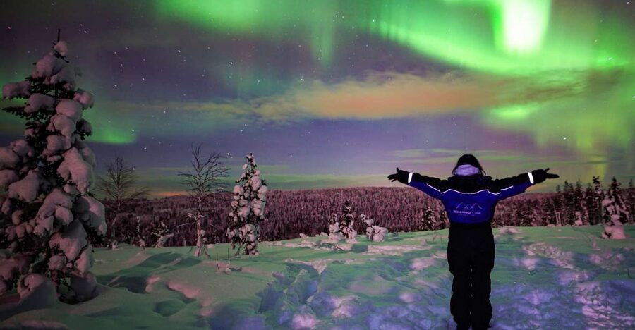 Rovaniemi: Small-Group Northern Lights Wilderness Tour - The meeting point and pickup details