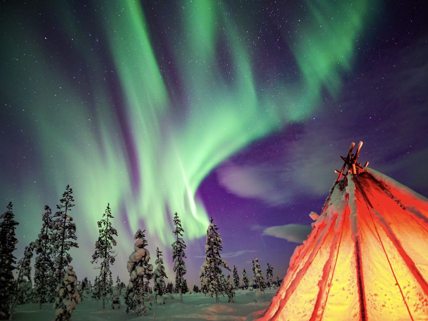 Rovaniemi: Small-Group Northern Lights Wilderness Tour - Is $136 a fair price?