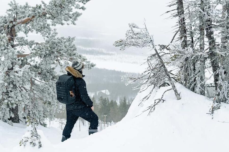 Rovaniemi: Snowshoeing in the Arctic Wilderness - Pick-up, the forest, and the first steps