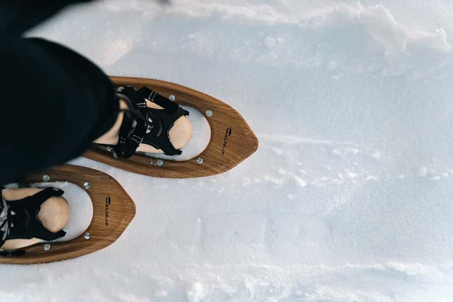Rovaniemi: Snowshoeing in the Arctic Wilderness - Stories about wildlife and Arctic traditions