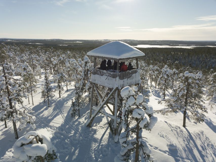 Rovaniemi: Wilderness Tour - Key points to know before you book