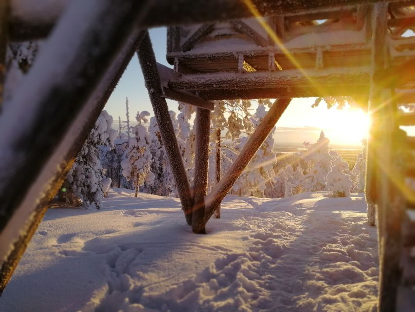 Rovaniemi: Wilderness Tour - Who will enjoy this most