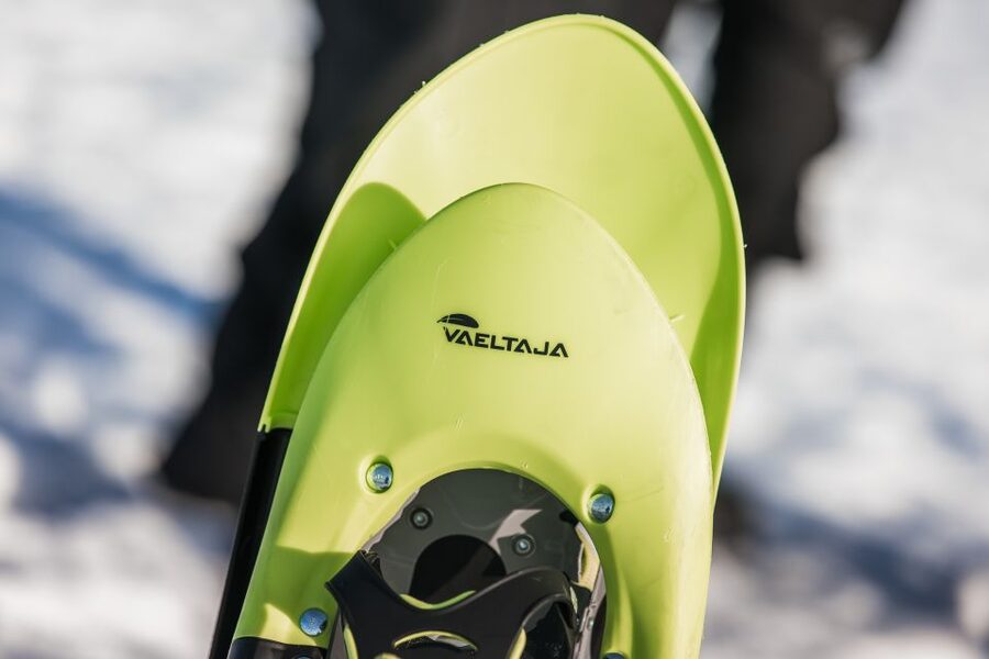 Rovaniemi: Winter Wilderness Snowshoeing Trip - Old forests, frozen swamps, and lake views