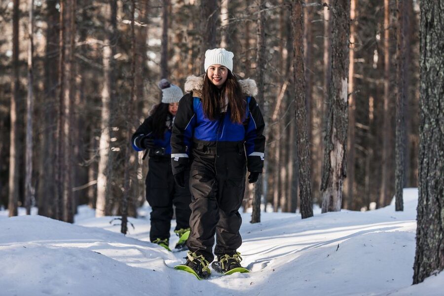 Rovaniemi: Winter Wilderness Snowshoeing Trip - What the $104 price includes