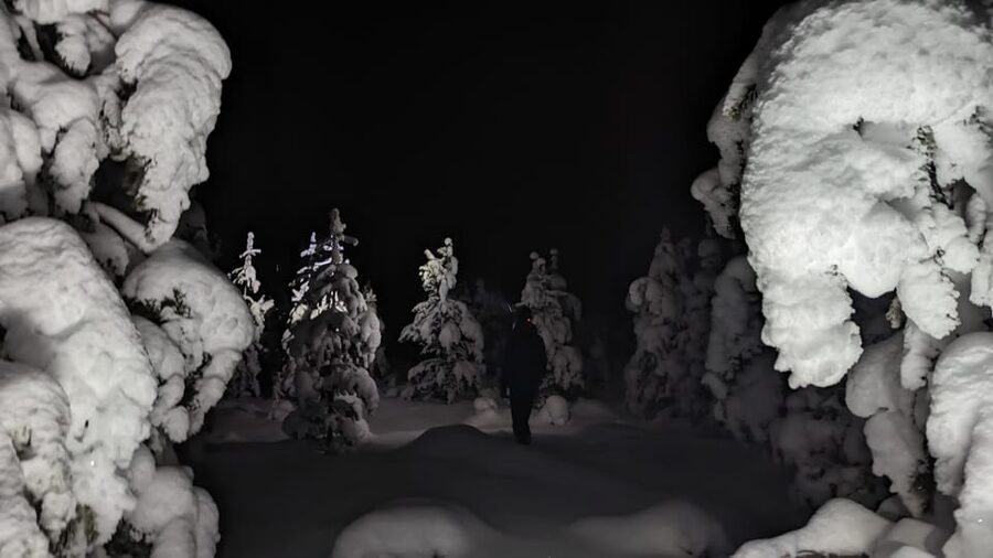 Saariselkä: Snowshoeing Tour in Urho Kekkonen National Park - Walking beyond the marked trails