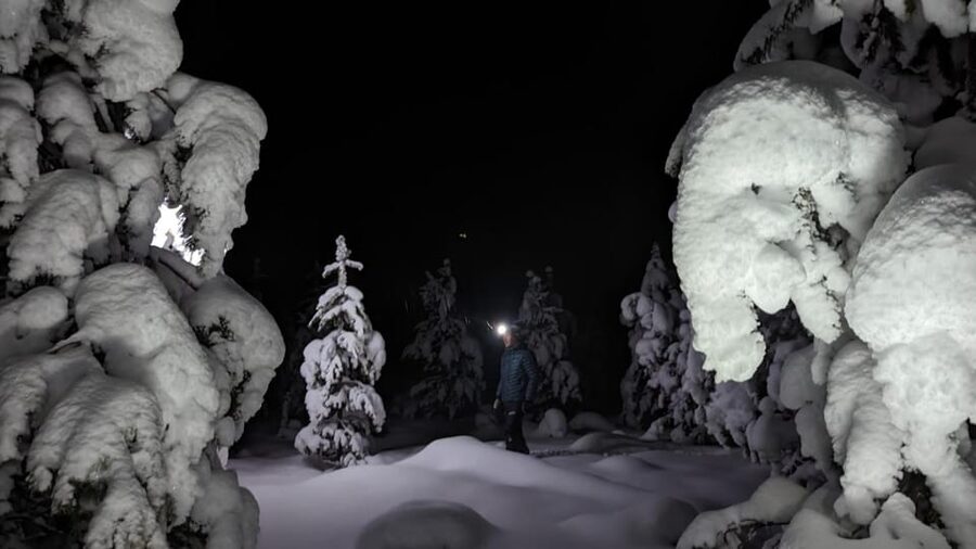 Saariselkä: Snowshoeing Tour in Urho Kekkonen National Park - How the guide shapes the experience