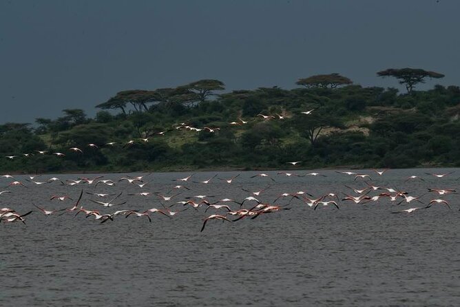 Safari Serengeti And Ngorongoro - Day 4: Inside Ngorongoro Crater