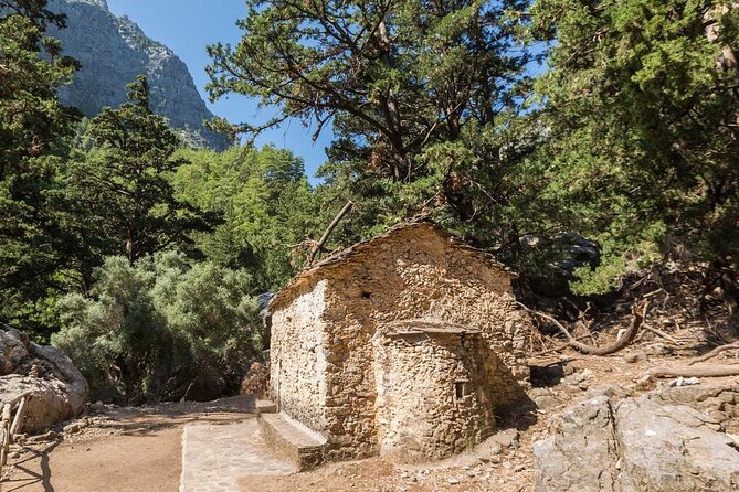 Samaria Gorge Hiking from Chania with Professional Hiking Guide - What the guide adds to the experience
