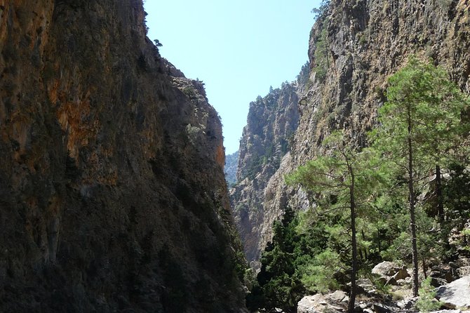 Samaria Gorge Trek: Full-Day Excursion from Rethymno with Guide - The ferry to Sfakia and the ride home