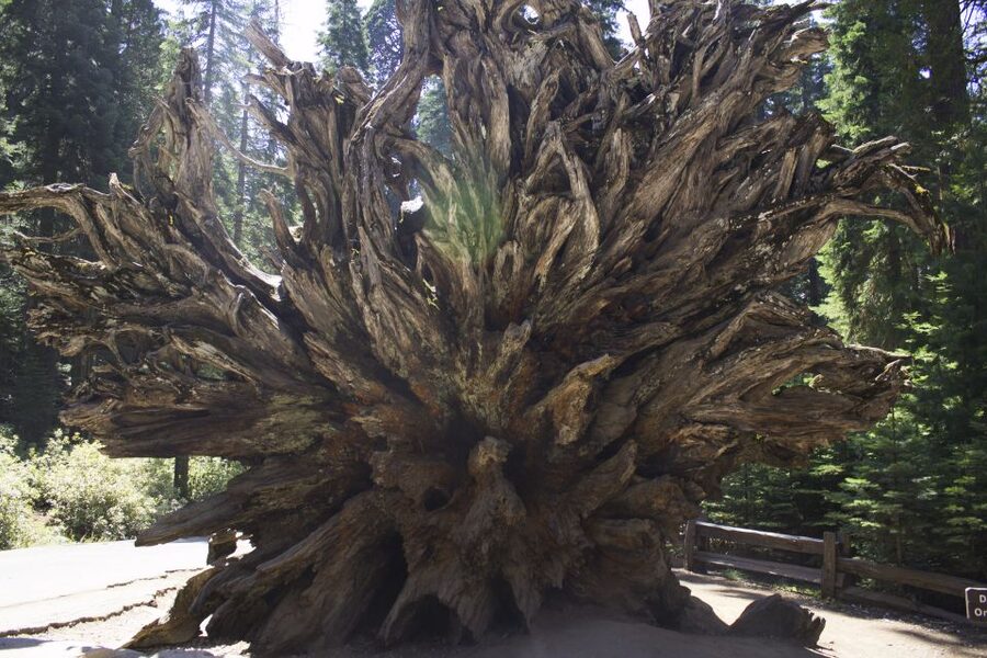 San Francisco: Yosemite, Las Vegas, Bryce & Zion, 6-Day Tour - Yosemite focuses on three unforgettable views