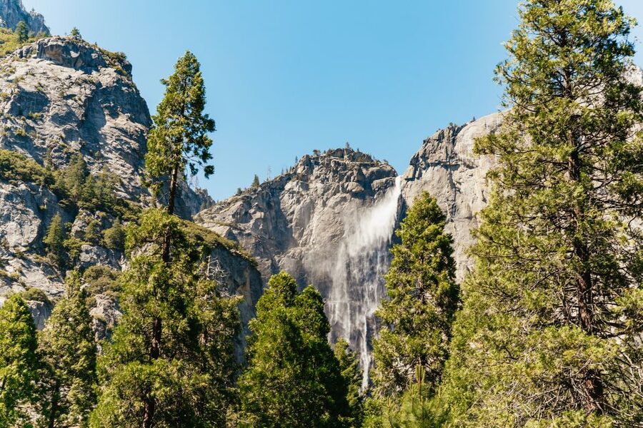 San Francisco: Yosemite National Park & Giant Sequoias Hike - Guides, driving, and the feel of the day