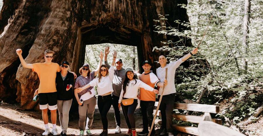 San Jose: Yosemite National Park and Giant Sequoias Trip - Key points to know