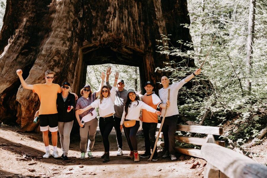 San Jose: Yosemite National Park and Giant Sequoias Trip - Why this San Jose Yosemite trip works