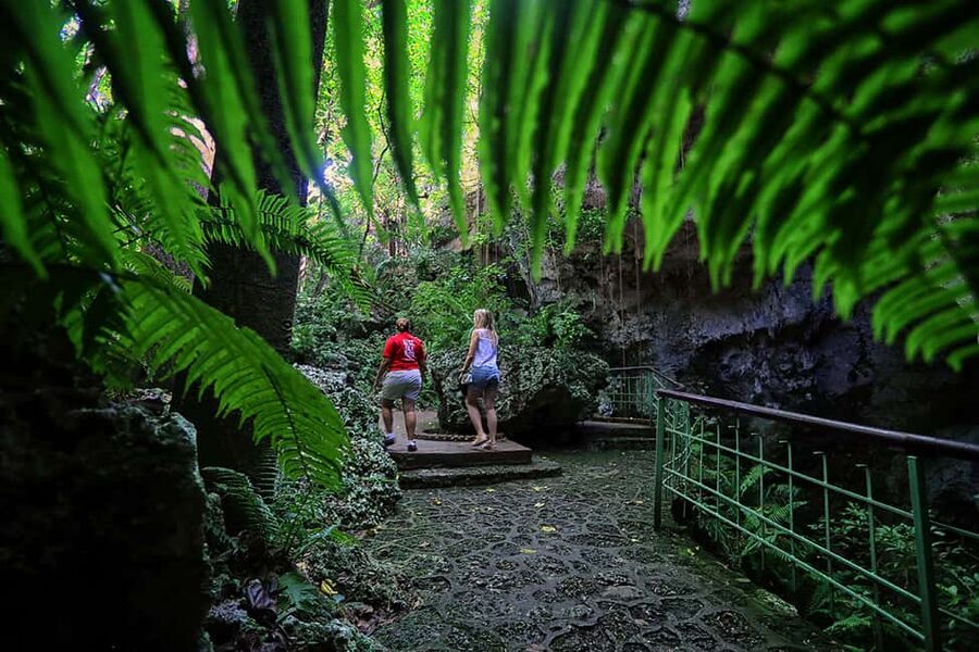 Santo Domingo: Three Eyes National Park Guided Tour - Rock formations and the park’s living details