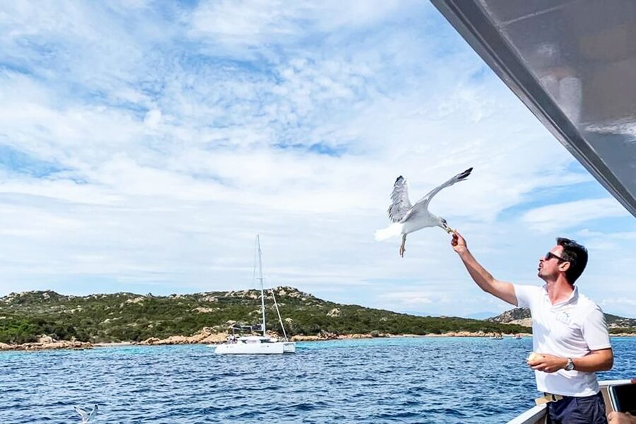Sardinia: La Maddalena Archipelago Full-Day Trip by Boat - Who should book this $59 excursion