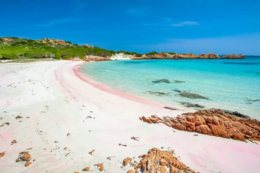 Sardinia: La Maddalena Archipelago Full-Day Trip by Boat - La Maddalena town gives the day some local character