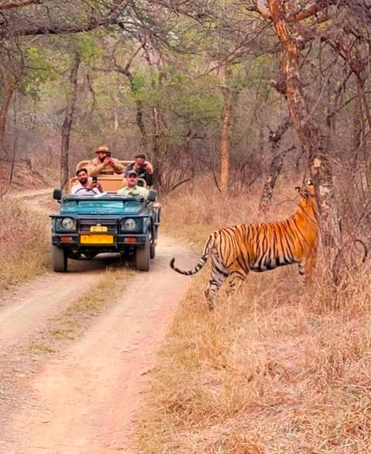 Sawai Madhopur: Ranthambore National Park Guided Jeep Safari - FAQ